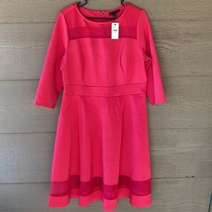 Lane Bryant Fit & Flare Dress